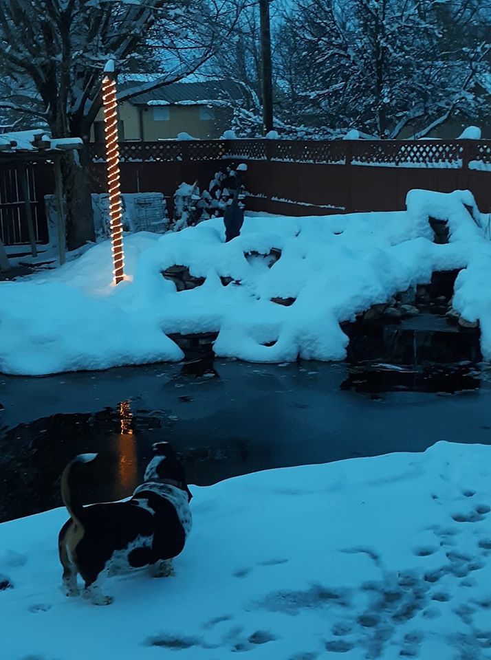 PHOTOS: November Snow, photos from Star-Herald staff and readers